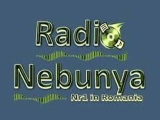 Radio NebunYa Manele - Doar Internet